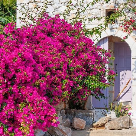 Iliana'S House - Spacious Cave House In The Center Of Areopolis 외부 사진